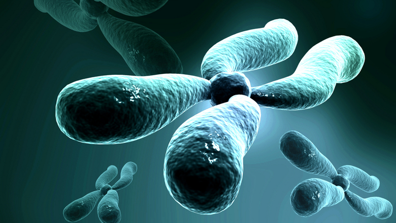 Illustration for article titled Biggest Scientific Breakthroughs Of 2014